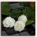 Róża główka 12 szt 4cm Cream